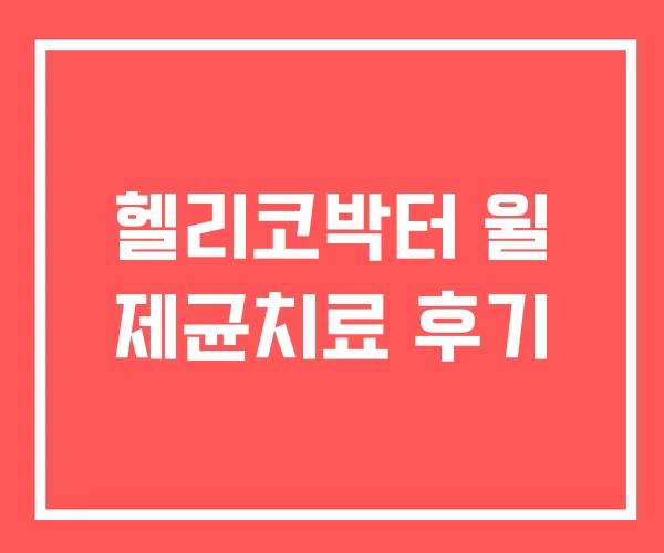 헬리코박터 윌 제균치료 후기
