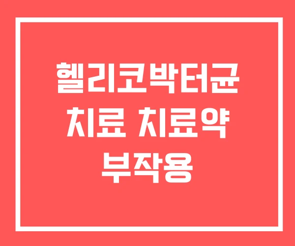 헬리코박터균 치료 치료약 부작용