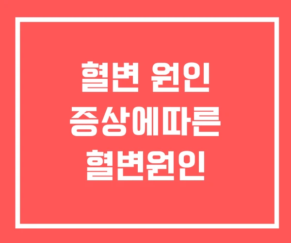 혈변 원인 증상에따른 혈변원인
