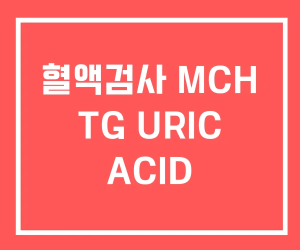 혈액검사 MCH TG URIC ACID