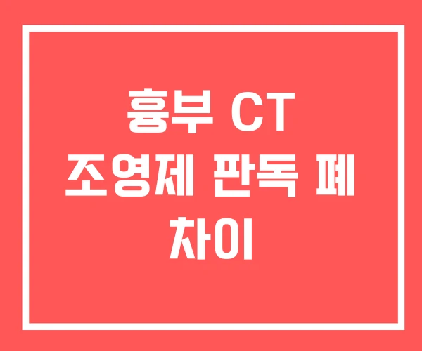 흉부 CT 조영제 판독 폐 차이