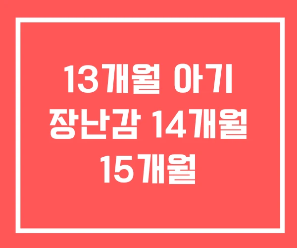 13개월 아기 장난감 14개월 15개월