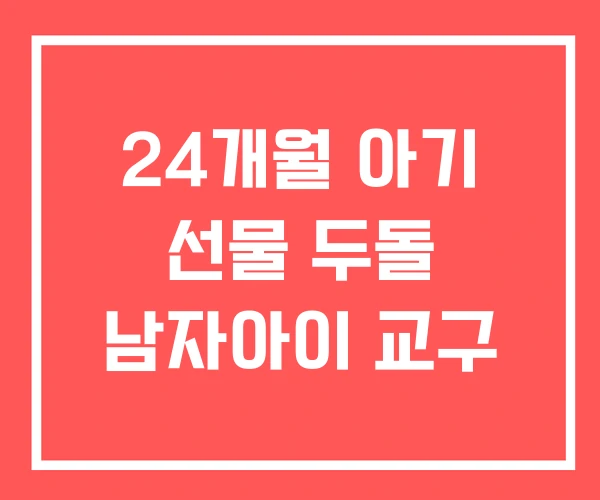 24개월 아기 선물 두돌 남자아이 교구