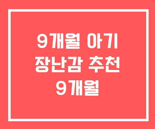 9개월 아기 장난감 추천 9개월
