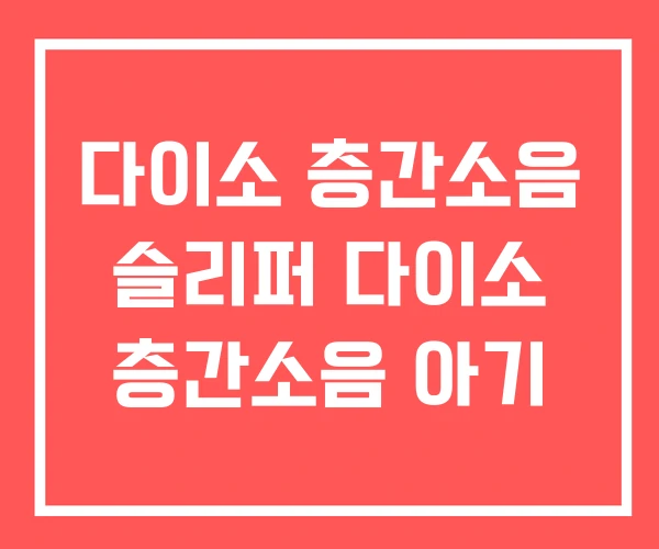 다이소 층간소음 슬리퍼 다이소 층간소음 아기