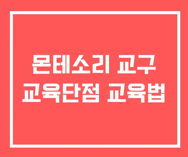 몬테소리 교구 교육단점 교육법