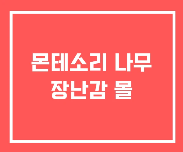 몬테소리 나무 장난감 몰