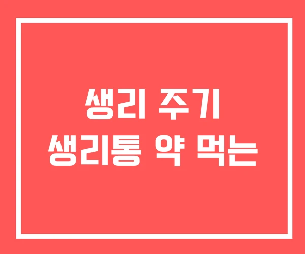 생리 주기 생리통 약 먹는
