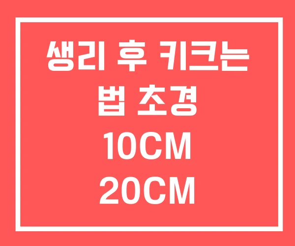 생리 후 키크는 법 초경 10CM 20CM