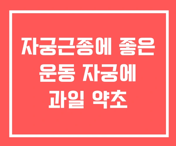 자궁근종에 좋은 운동 자궁에 과일 약초