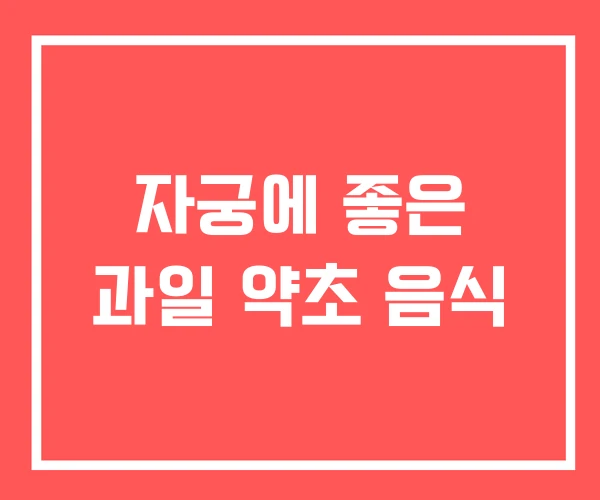 자궁에 좋은 과일 약초 음식