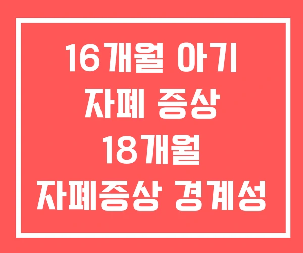 16개월 아기 자폐 증상 18개월 자폐증상 경계성