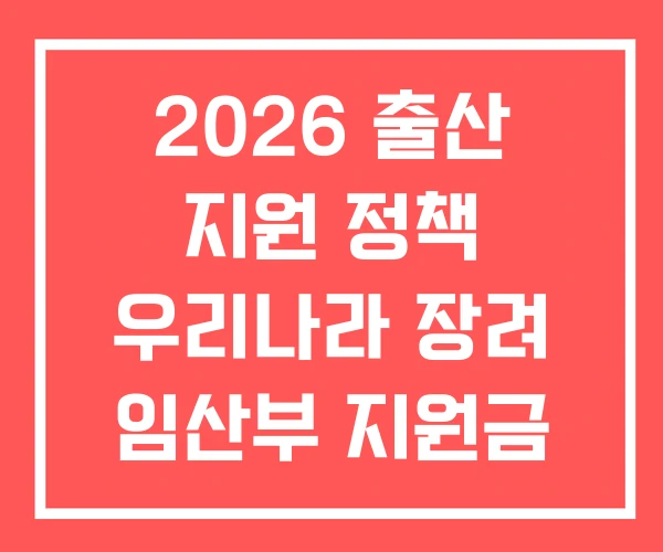 2026 출산 지원 정책 우리나라 장려 임산부 지원금