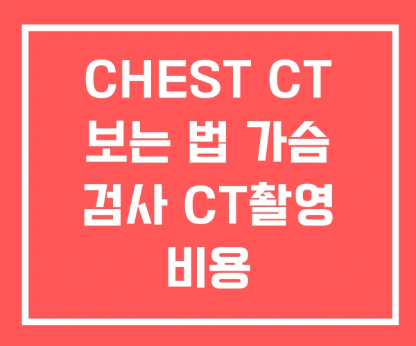 CHEST CT 보는 법 가슴 검사 CT촬영 비용