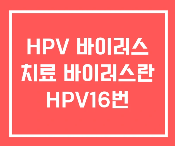 HPV 바이러스 치료 바이러스란 HPV16번