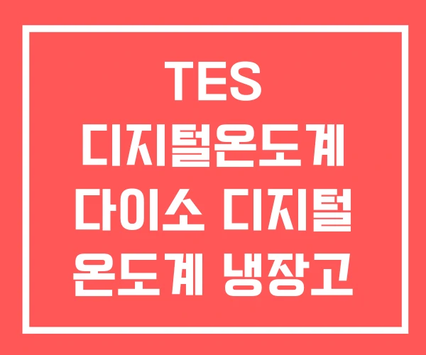 TES 디지털온도계 다이소 디지털 온도계 냉장고