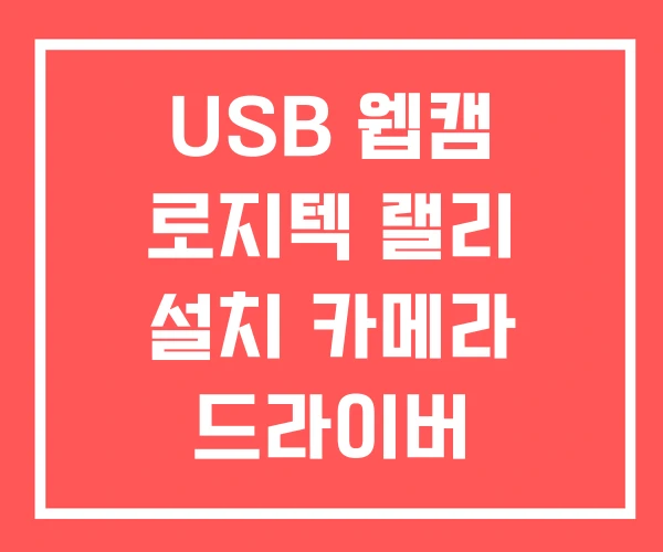 USB 웹캠 로지텍 랠리 설치 카메라 드라이버