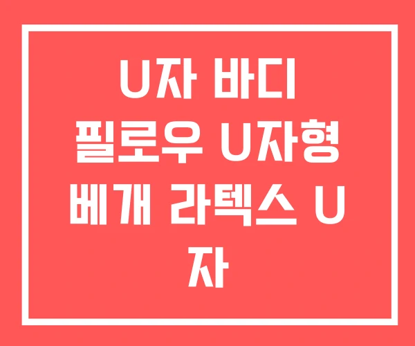 U자 바디 필로우 U자형 베개 라텍스 U 자