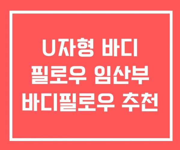 U자형 바디 필로우 임산부 바디필로우 추천