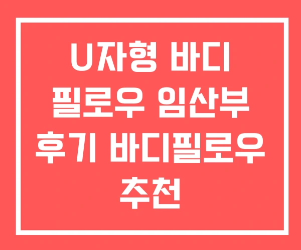 U자형 바디 필로우 임산부 후기 바디필로우 추천