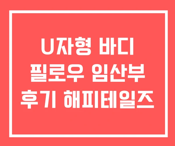 U자형 바디 필로우 임산부 후기 해피테일즈