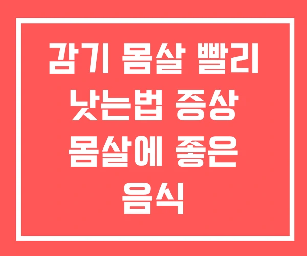 감기 몸살 빨리 낫는법 증상 몸살에 좋은 음식