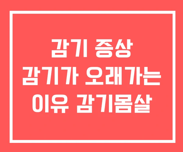 감기 증상 감기가 오래가는 이유 감기몸살