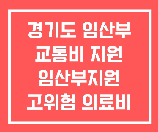 경기도 임산부 교통비 지원 임산부지원 고위험 의료비