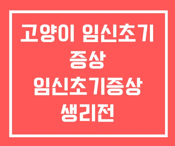 고양이 임신초기 증상 임신초기증상 생리전 고양이 임신초기 증상 임신초기증상 생리전