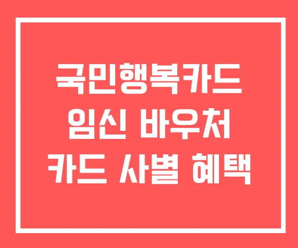 국민행복카드 임신 바우처 카드 사별 혜택
