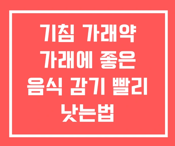 기침 가래약 가래에 좋은 음식 감기 빨리 낫는법