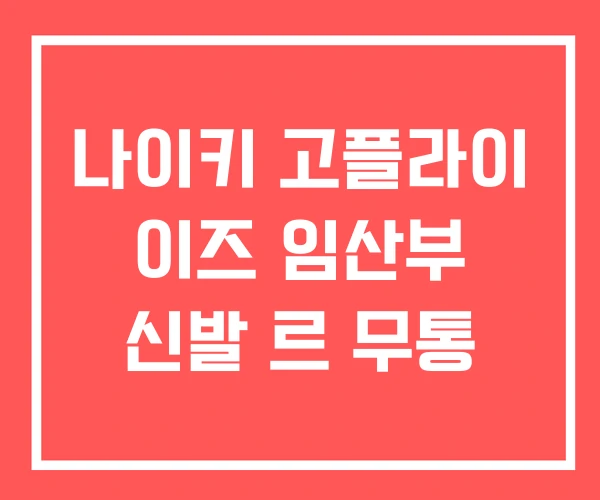 나이키 고플라이 이즈 임산부 신발 르 무통