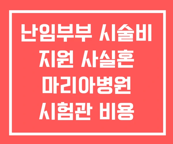 난임부부 시술비 지원 사실혼 마리아병원 시험관 비용 정리