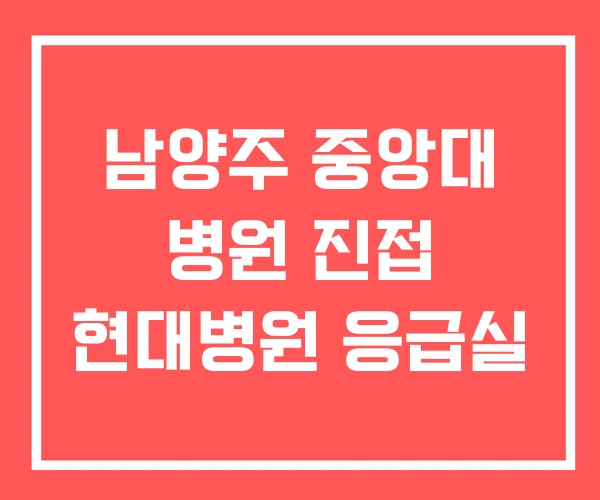 남양주 중앙대 병원 진접 현대병원 응급실 남양주 중앙대 병원 진접 현대병원 응급실