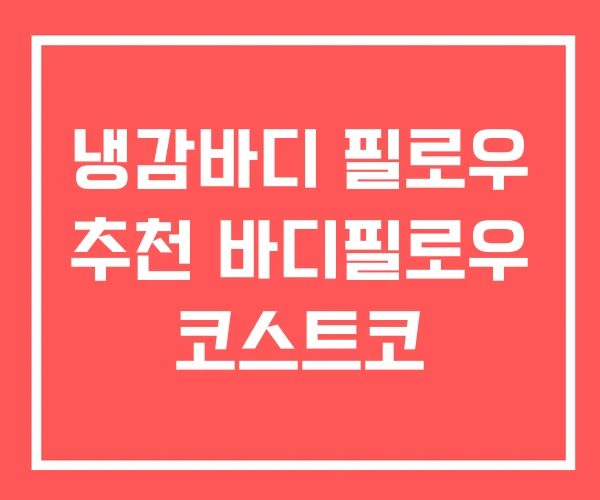 냉감바디 필로우 추천 바디필로우 코스트코