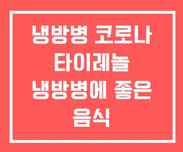 냉방병 코로나 타이레놀 냉방병에 좋은 음식