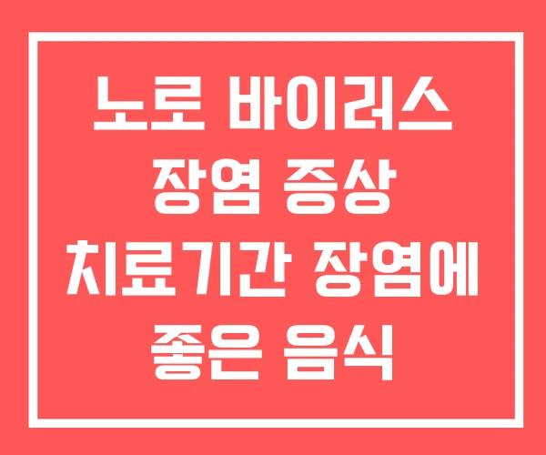 노로 바이러스 장염 증상 치료기간 장염에 좋은 음식