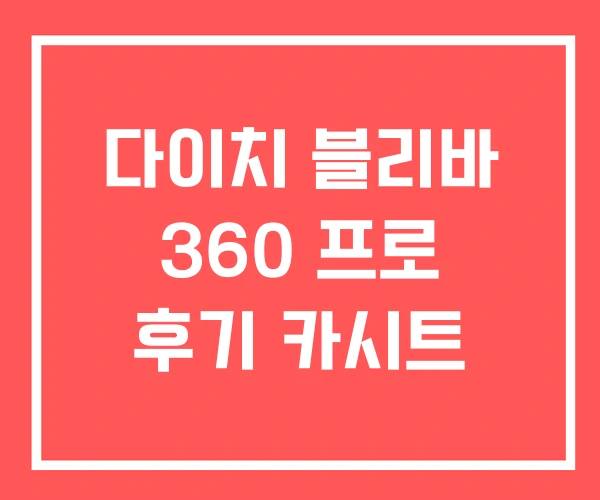 다이치 블리바 360 프로 후기 카시트