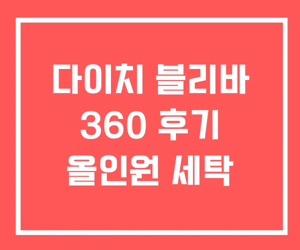 다이치 블리바 360 후기 올인원 세탁