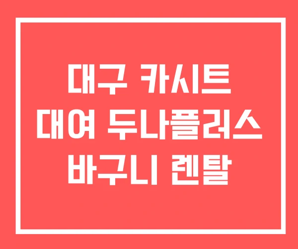 대구 카시트 대여 두나플러스 바구니 렌탈