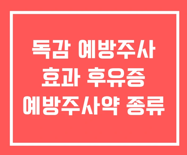 독감 예방주사 효과 후유증 예방주사약 종류