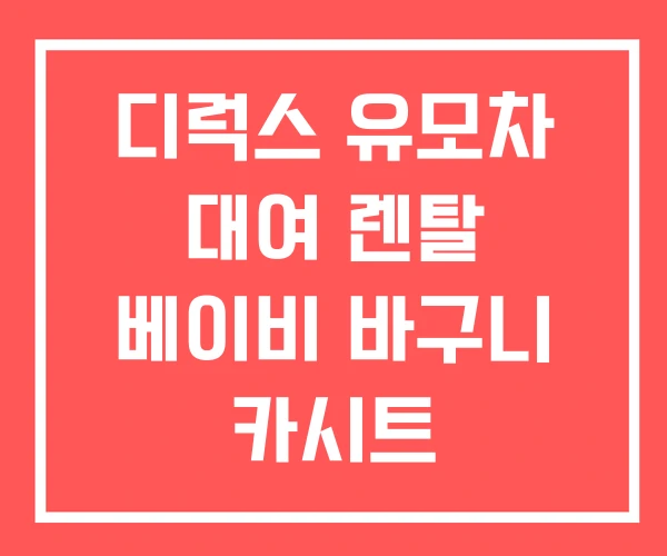 디럭스 유모차 대여 렌탈 베이비 바구니 카시트