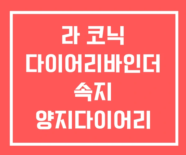 라 코닉 다이어리바인더 속지 양지다이어리