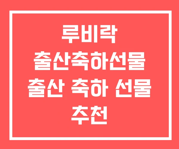 루비락 출산축하선물 출산 축하 선물 추천