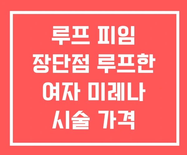 루프 피임 장단점 루프한 여자 미레나 시술 가격 루프 피임 장단점 루프한 여자 미레나 시술 가격