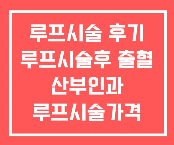 루프시술 후기 루프시술후 출혈 산부인과 루프시술가격