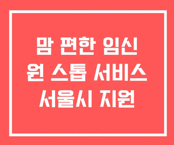 맘 편한 임신 원 스톱 서비스 서울시 지원 맘 편한 임신 원 스톱 서비스 서울시 지원