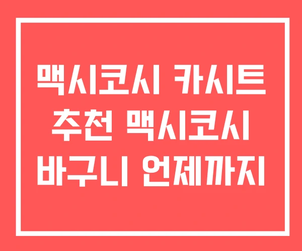 맥시코시 카시트 추천 맥시코시 바구니 언제까지