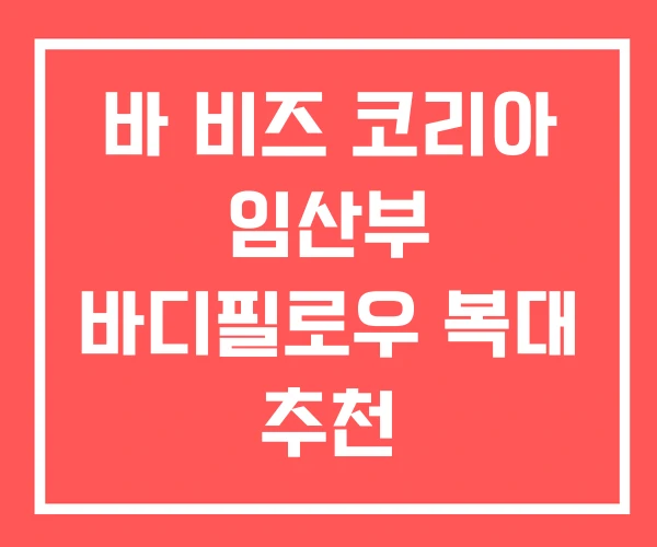 바 비즈 코리아 임산부 바디필로우 복대 추천 바 비즈 코리아 임산부 바디필로우 복대 추천
