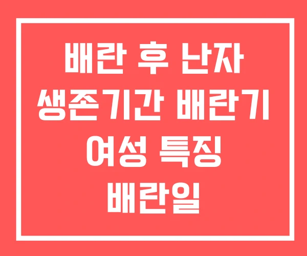 배란 후 난자 생존기간 배란기 여성 특징 배란일